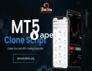 MT5 Clone Script Provider In USA